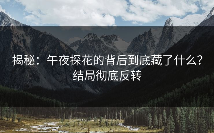揭秘：午夜探花的背后到底藏了什么？结局彻底反转