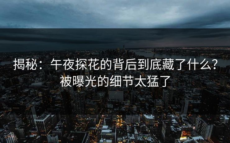 揭秘：午夜探花的背后到底藏了什么？被曝光的细节太猛了