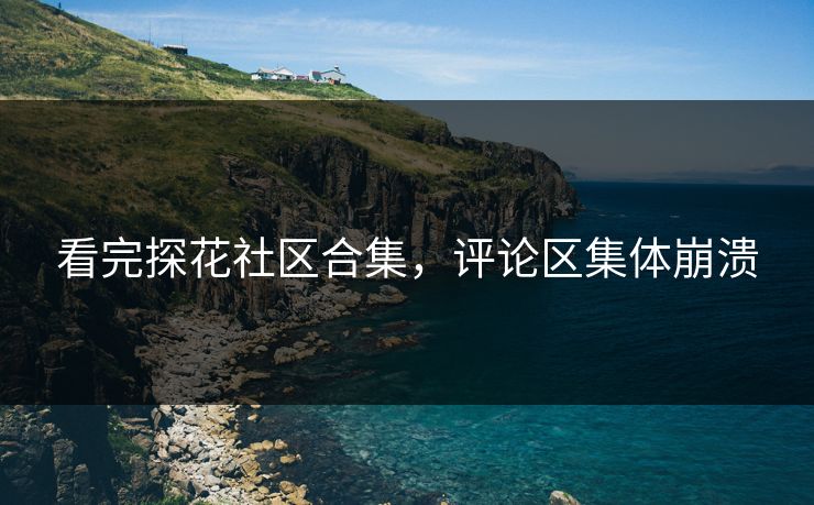 看完探花社区合集，评论区集体崩溃
