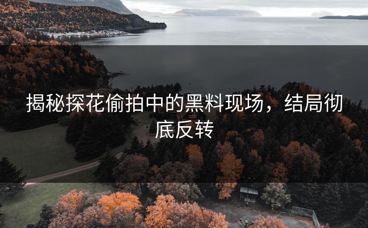 揭秘探花偷拍中的黑料现场，结局彻底反转