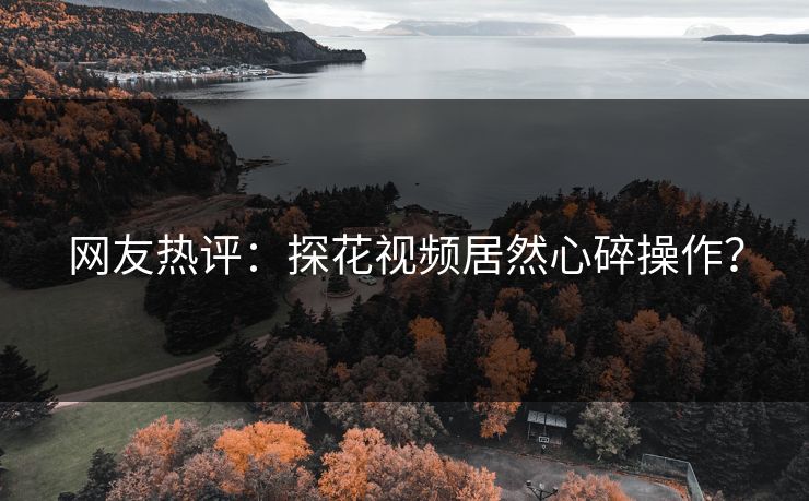 网友热评：探花视频居然心碎操作？
