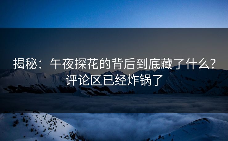 揭秘：午夜探花的背后到底藏了什么？评论区已经炸锅了