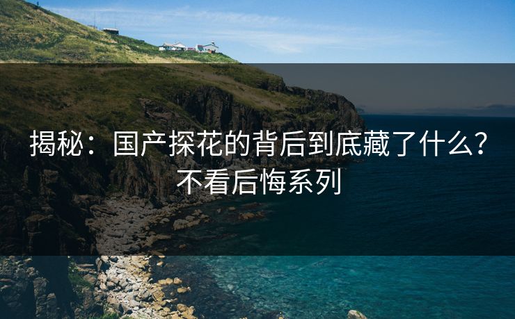 揭秘：国产探花的背后到底藏了什么？不看后悔系列