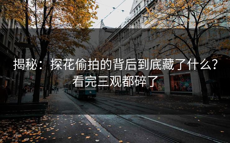 揭秘：探花偷拍的背后到底藏了什么？看完三观都碎了