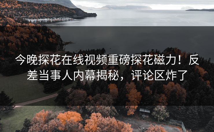 今晚探花在线视频重磅探花磁力！反差当事人内幕揭秘，评论区炸了