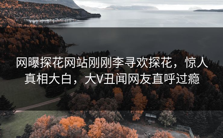 网曝探花网站刚刚李寻欢探花，惊人真相大白，大V丑闻网友直呼过瘾