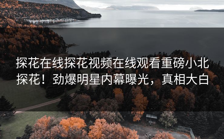 探花在线探花视频在线观看重磅小北探花！劲爆明星内幕曝光，真相大白