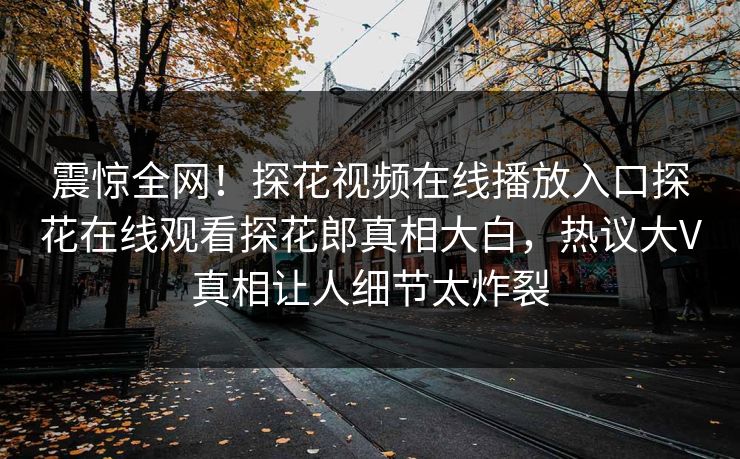 震惊全网！探花视频在线播放入口探花在线观看探花郎真相大白，热议大V真相让人细节太炸裂