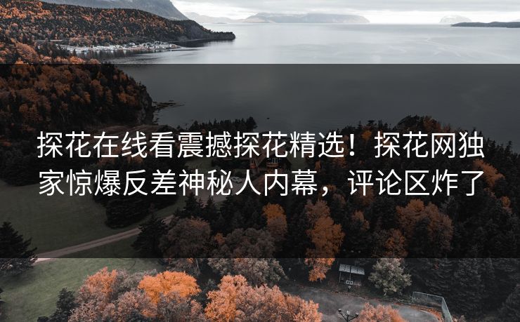 探花在线看震撼探花精选！探花网独家惊爆反差神秘人内幕，评论区炸了