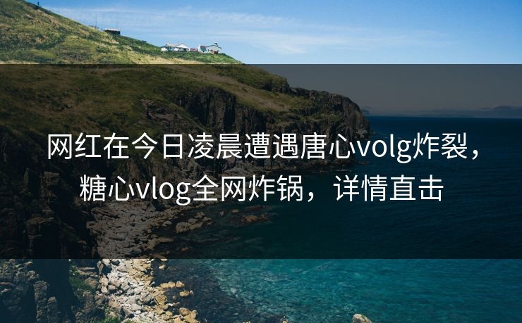 网红在今日凌晨遭遇唐心volg炸裂，糖心vlog全网炸锅，详情直击