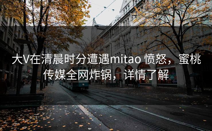 大V在清晨时分遭遇mitao 愤怒，蜜桃传媒全网炸锅，详情了解